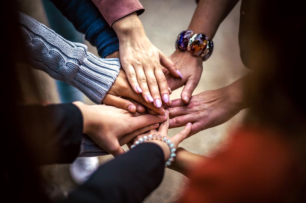 dofogie team working together